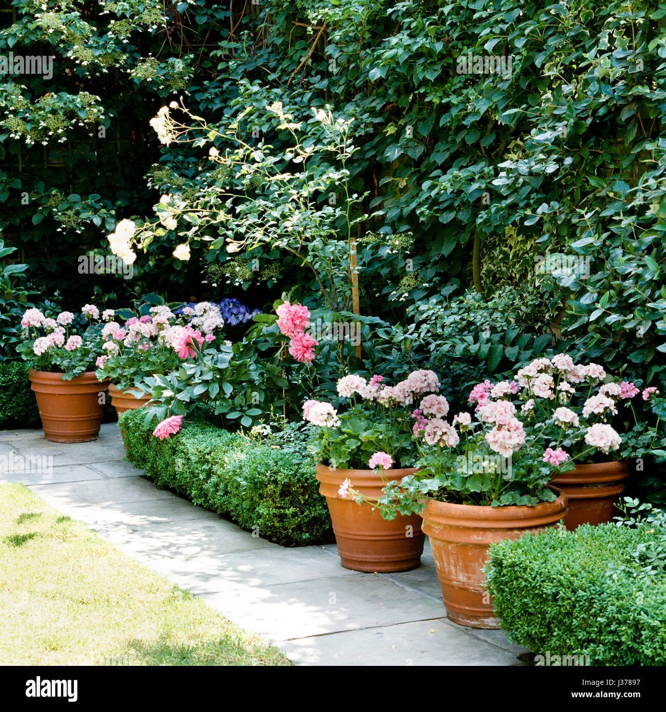 Per le piante in vaso in giardino. Foto Stock