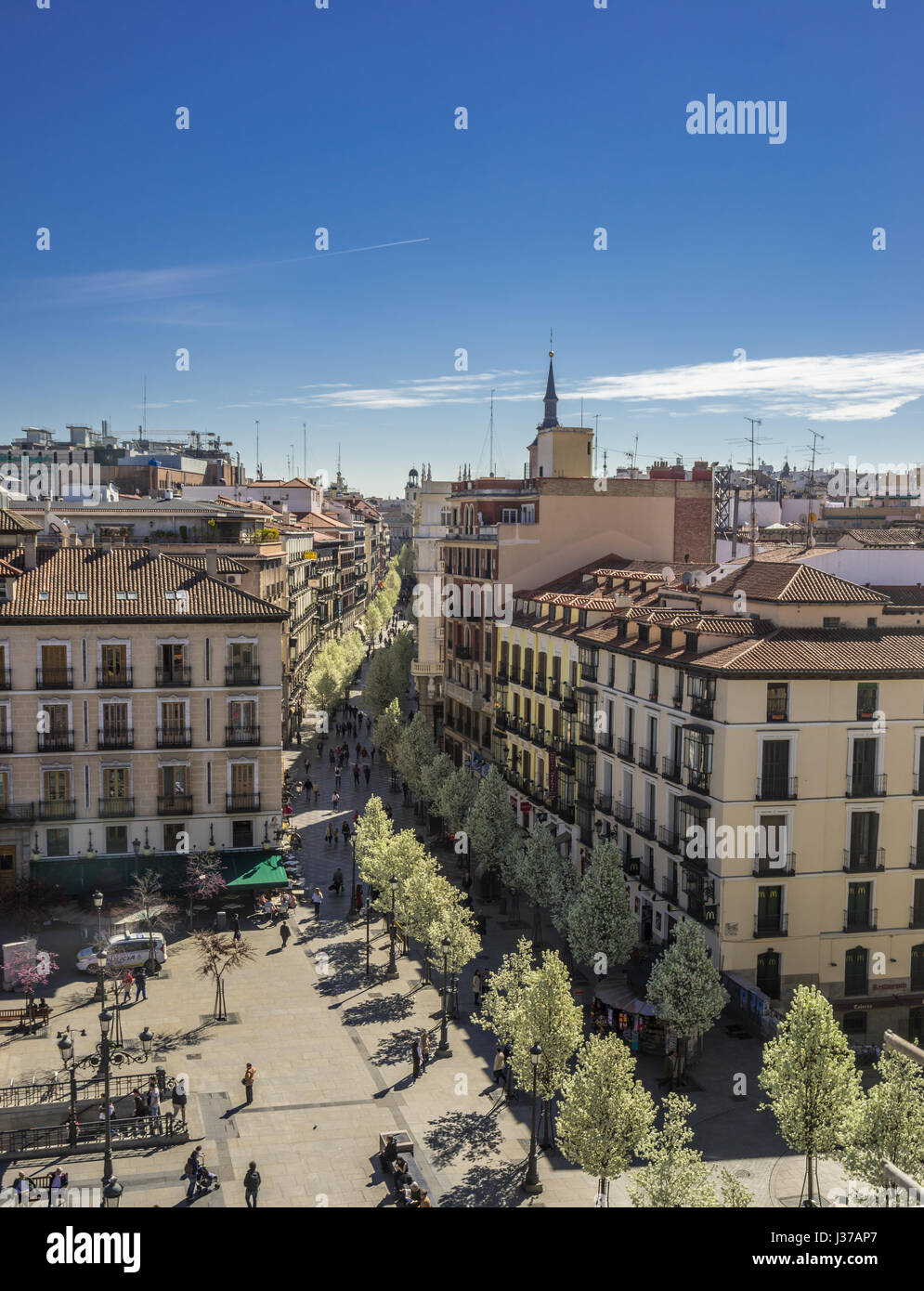 Ciliegi fioriti da Plaza de Isabel II lungo Calle Arenal (Calle del Arenal) alla piazza Puerta del Sol e la torre dell orologio, Madrid Spagna Foto Stock