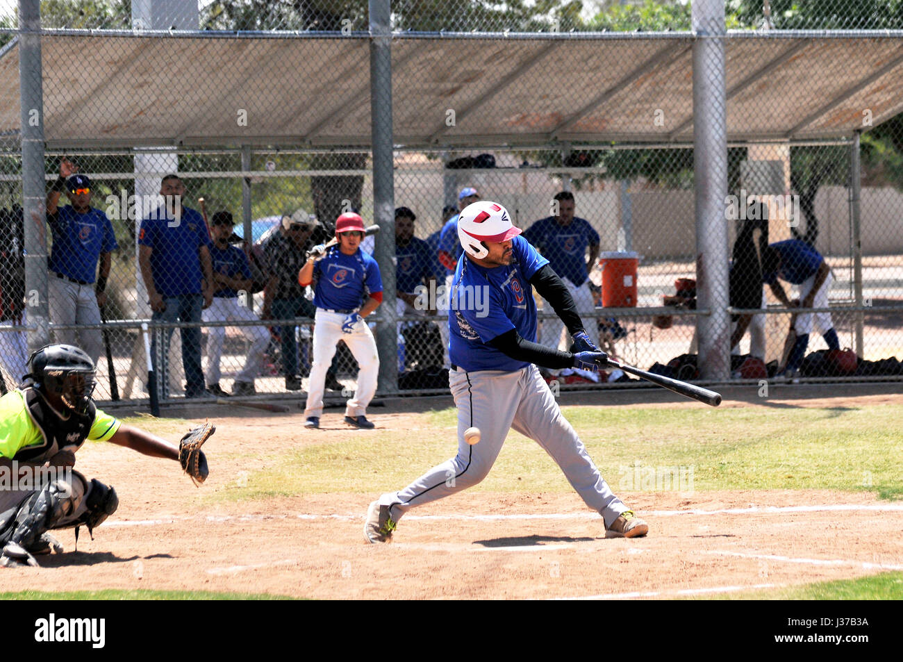 Il Mulos e i Cubs, team messicano con League Baseball, giocare una partita di campionato a Mission Manor Park, Tucson, Arizona, Stati Uniti. Foto Stock