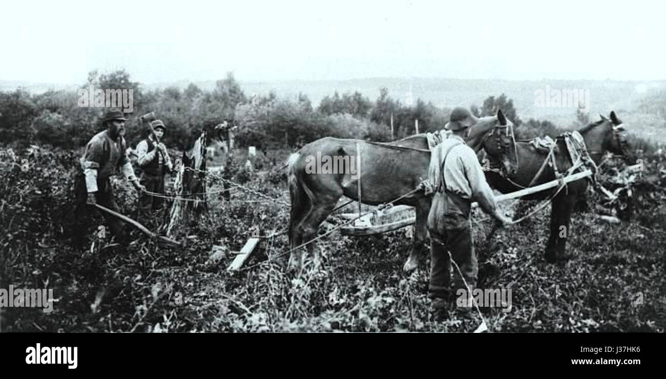 Chevaux Saint Andre de Matapedia 1870 Foto Stock