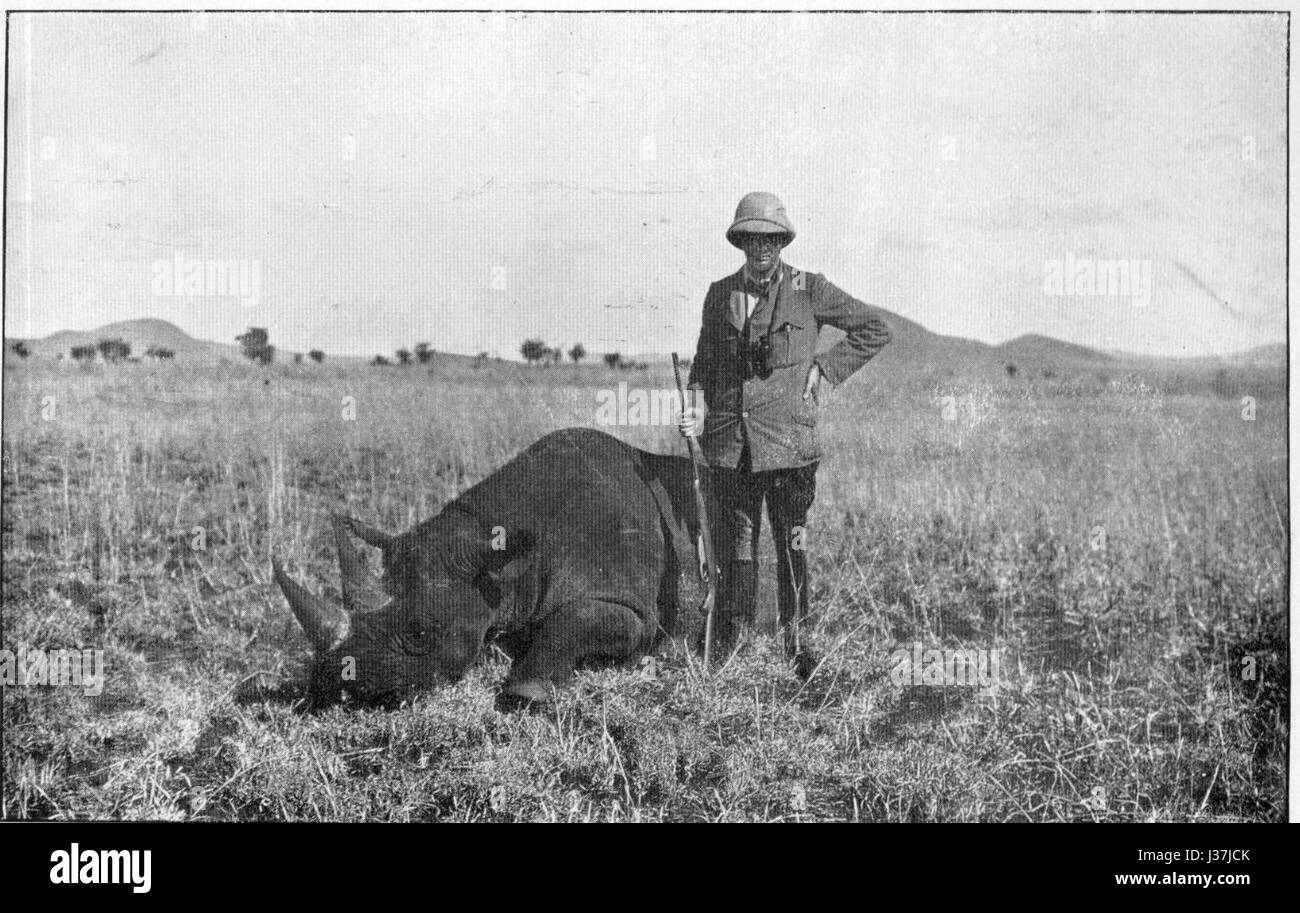 Questa fotografia mostra un rinoceronte bianco, spesso associato agli sforzi di conservazione di Winston Churchill, in un habitat naturale. Il rinoceronte bianco, una specie a rischio, svolge un ruolo significativo nella conservazione della fauna selvatica. Foto Stock
