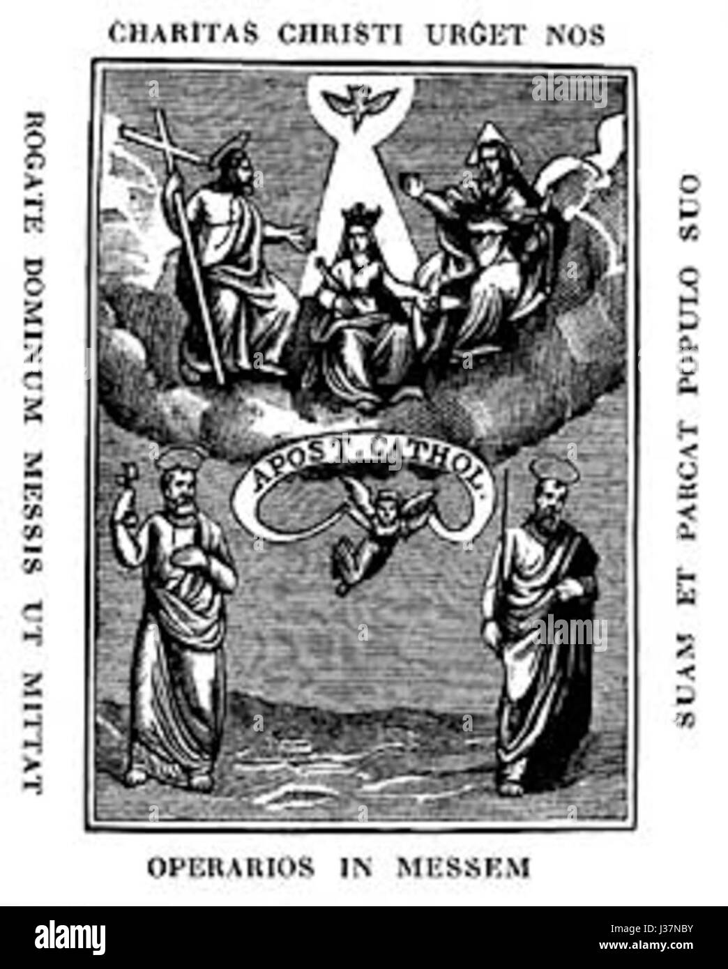 Sheryl erba ZAK Foto Stock