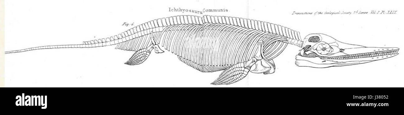Conybeare Ichthyosaur 1824 Foto Stock
