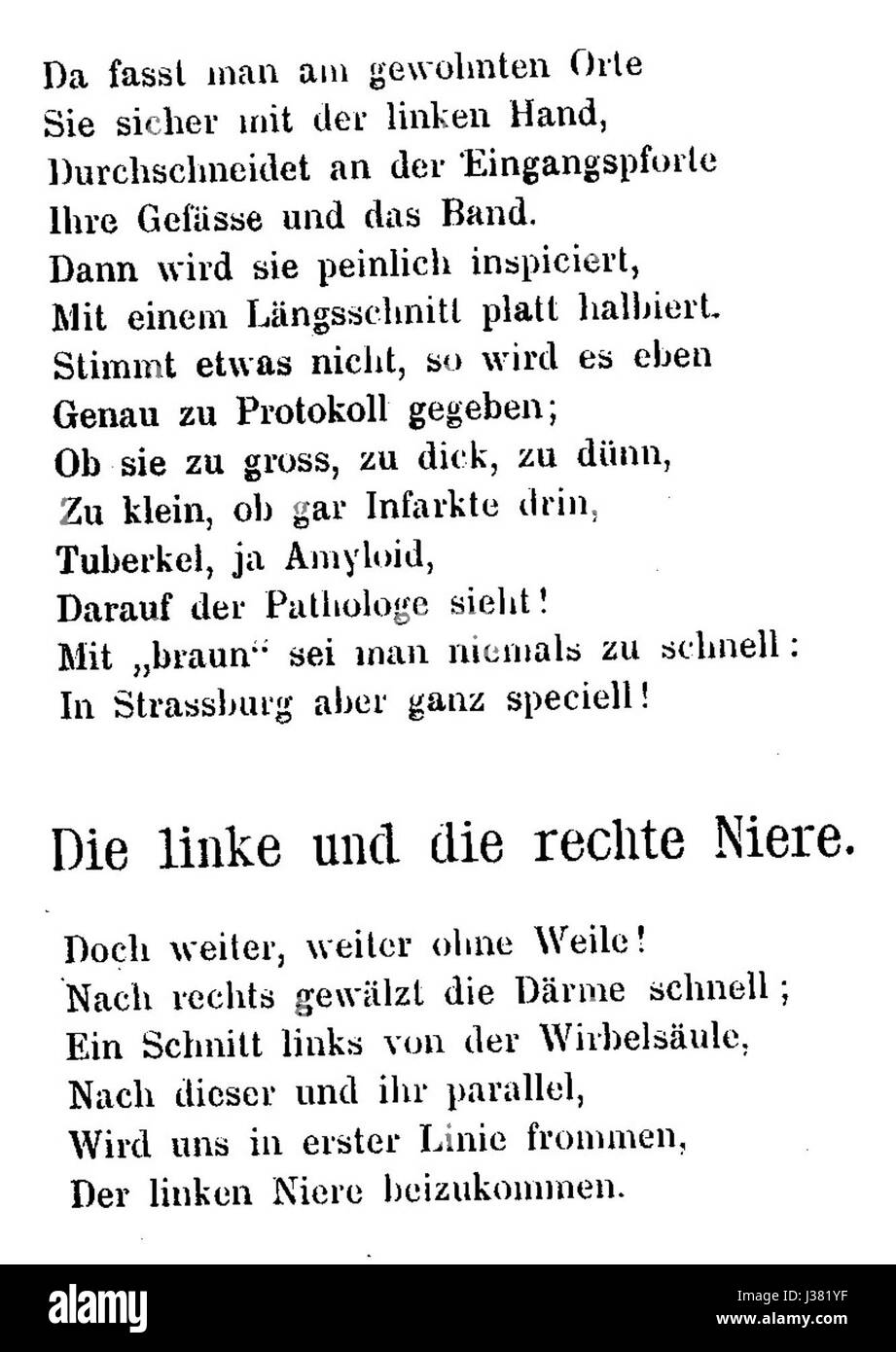 *Der prosector in der Westentasche* è un libro di riferimento medico, che offre un'introduzione alla dissezione e all'anatomia. Il libro è pensato per gli studenti e include illustrazioni dettagliate per facilitare l'apprendimento. Foto Stock