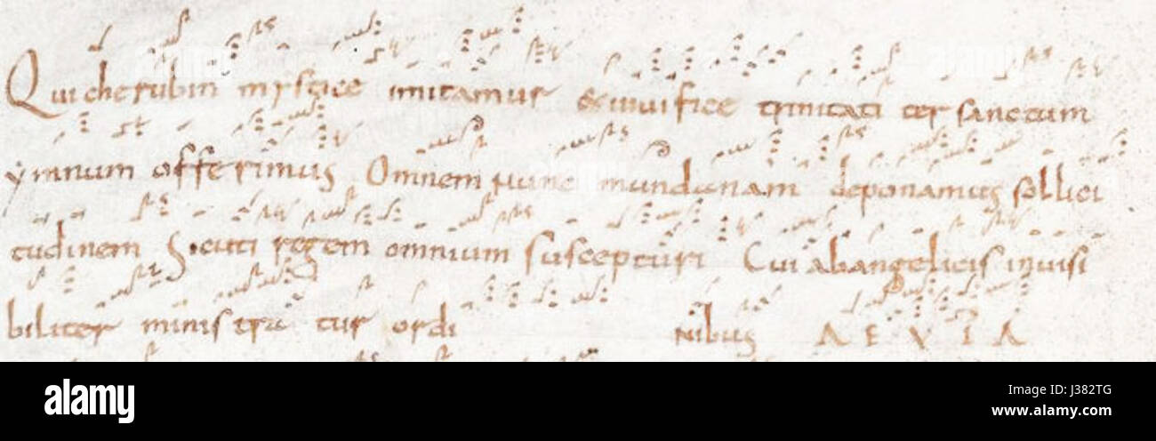Il *Cherouvikonharley3095* è un riferimento scientifico o oggetto nello studio della tassonomia o entomologia. Potrebbe riferirsi a una specie o a un genere catalogato per le sue caratteristiche distintive nella classificazione biologica. Foto Stock