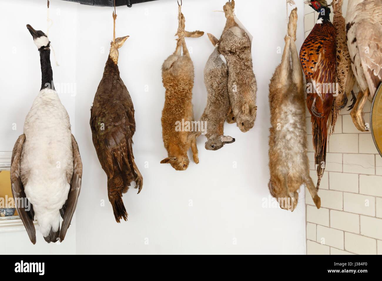 Una selezione di appesa delle carni di selvaggina essiccamento Foto Stock