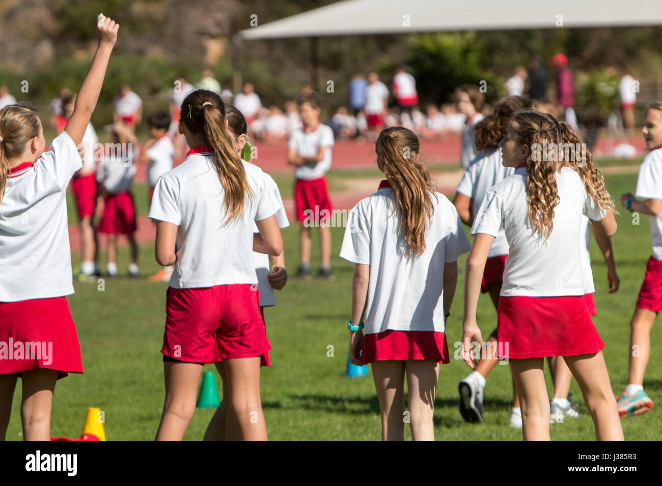 La scuola primaria australian bambini partecipanti nella loro scuola primaria annuale di atletica leggera eventi,Sydney , Australia Foto Stock