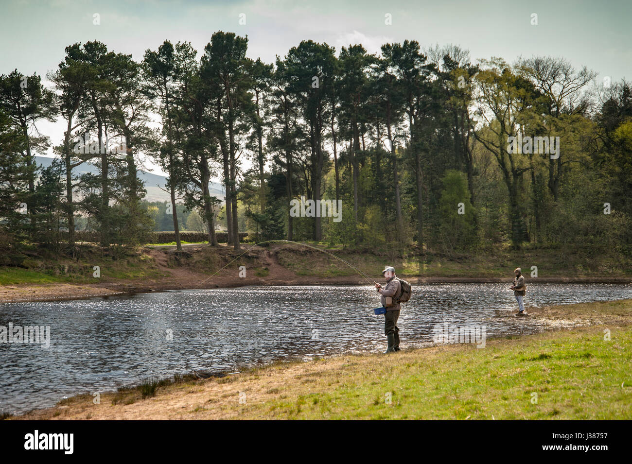 Un pescatore su un lago scozzese circondata da pineta Foto Stock