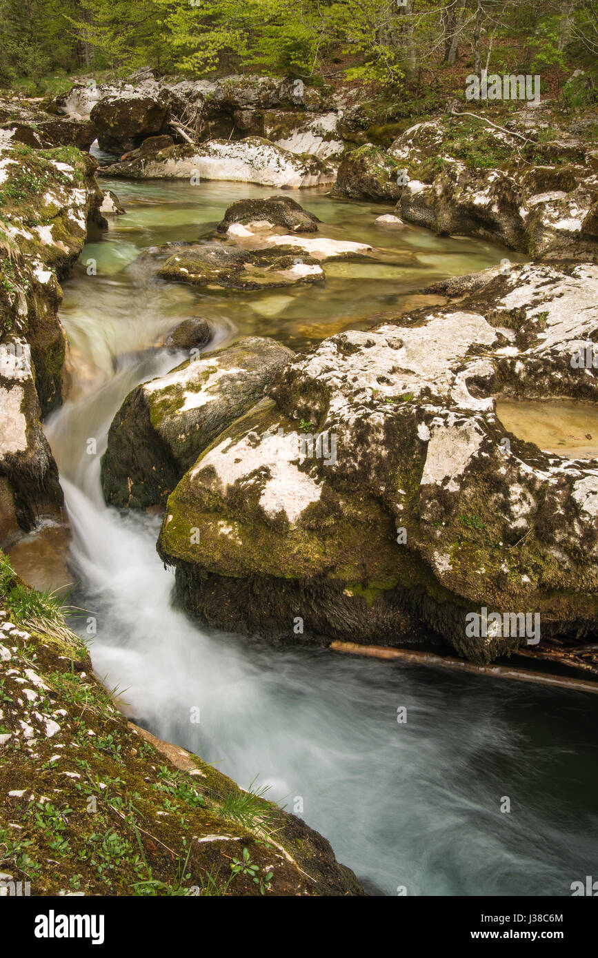 Scenic Mostnice gola scavata dal ghiacciaio vicino a Bohinj in Slovenia durante la primavera Foto Stock