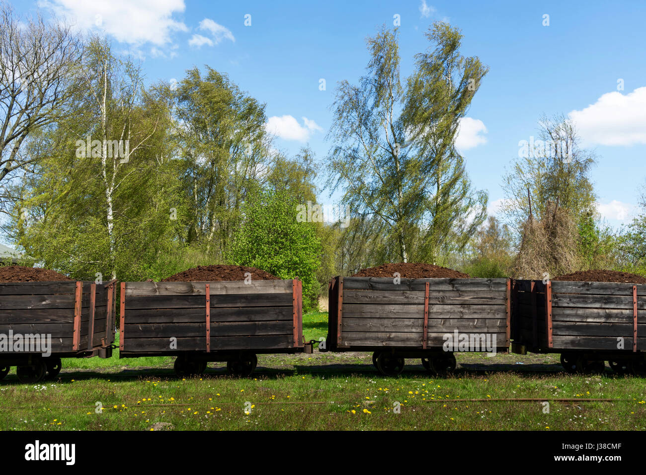 Un paesaggio di brughiera di Schleswig-Holstein, Germania: Torba il taglio e il trasporto Foto Stock