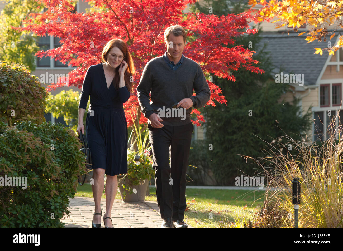L'insegnante di inglese (2013) Julianne Moore Greg Kinnear CRAIG ZISK (DIR) TRIBECCA FILM/raccolta MOVIESTORE LTD Foto Stock