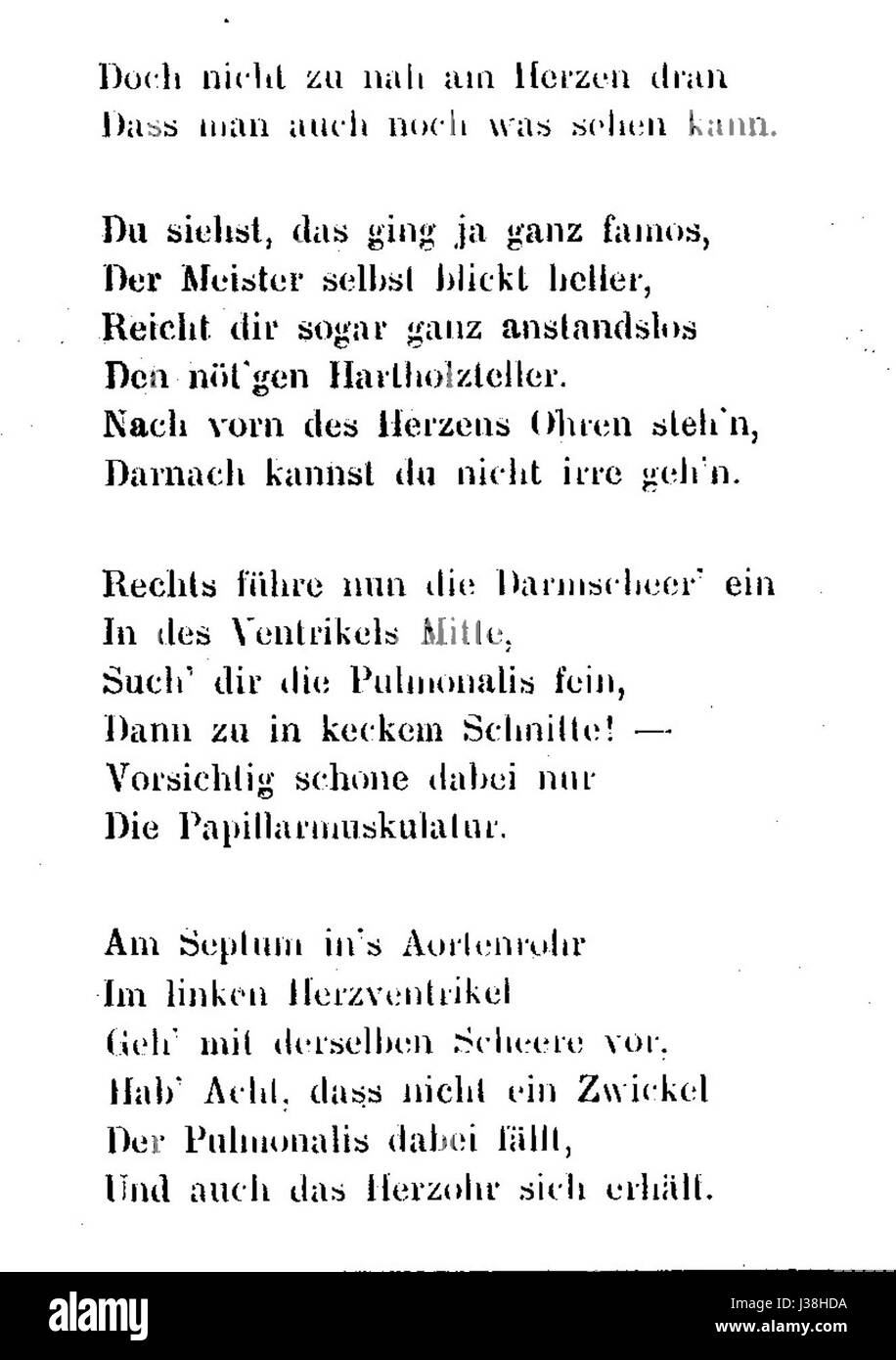 Un riferimento al libro *Der prosector in der Westentasche*, un'opera tedesca sull'anatomia e la dissezione, che fornisce studi dettagliati per i professionisti medici, descritto a pagina 25. Foto Stock