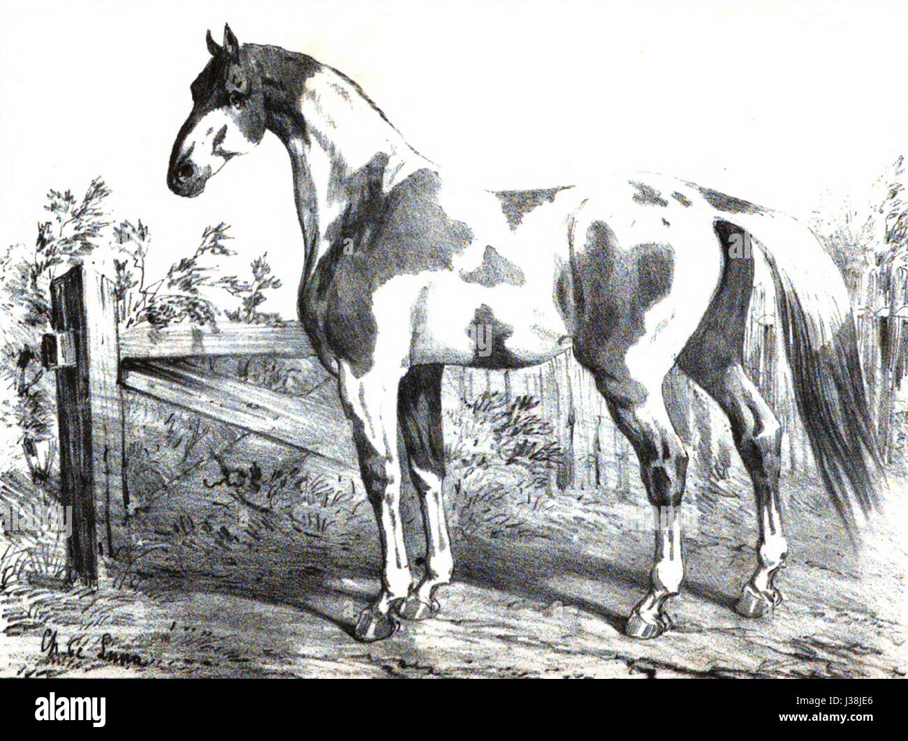 Il 'Cheval de Dongolah' è una scultura storica raffigurante un cavallo, originaria della regione di Dongolah. Il pezzo è rinomato per la sua maestria artigianale e riflette gli stili artistici della regione. Foto Stock