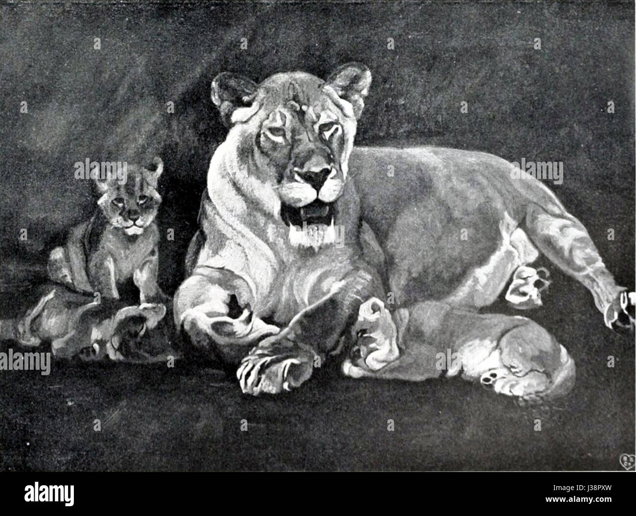 Il dipinto "Lionne et lionceaux" di Charles Tooby raffigura una leonessa con i suoi cuccioli, che cattura un momento tenero in natura. Il lavoro di Tooby esplora spesso temi della natura e della fauna selvatica, mostrando la bellezza e la forza degli animali nel loro habitat naturale. Foto Stock