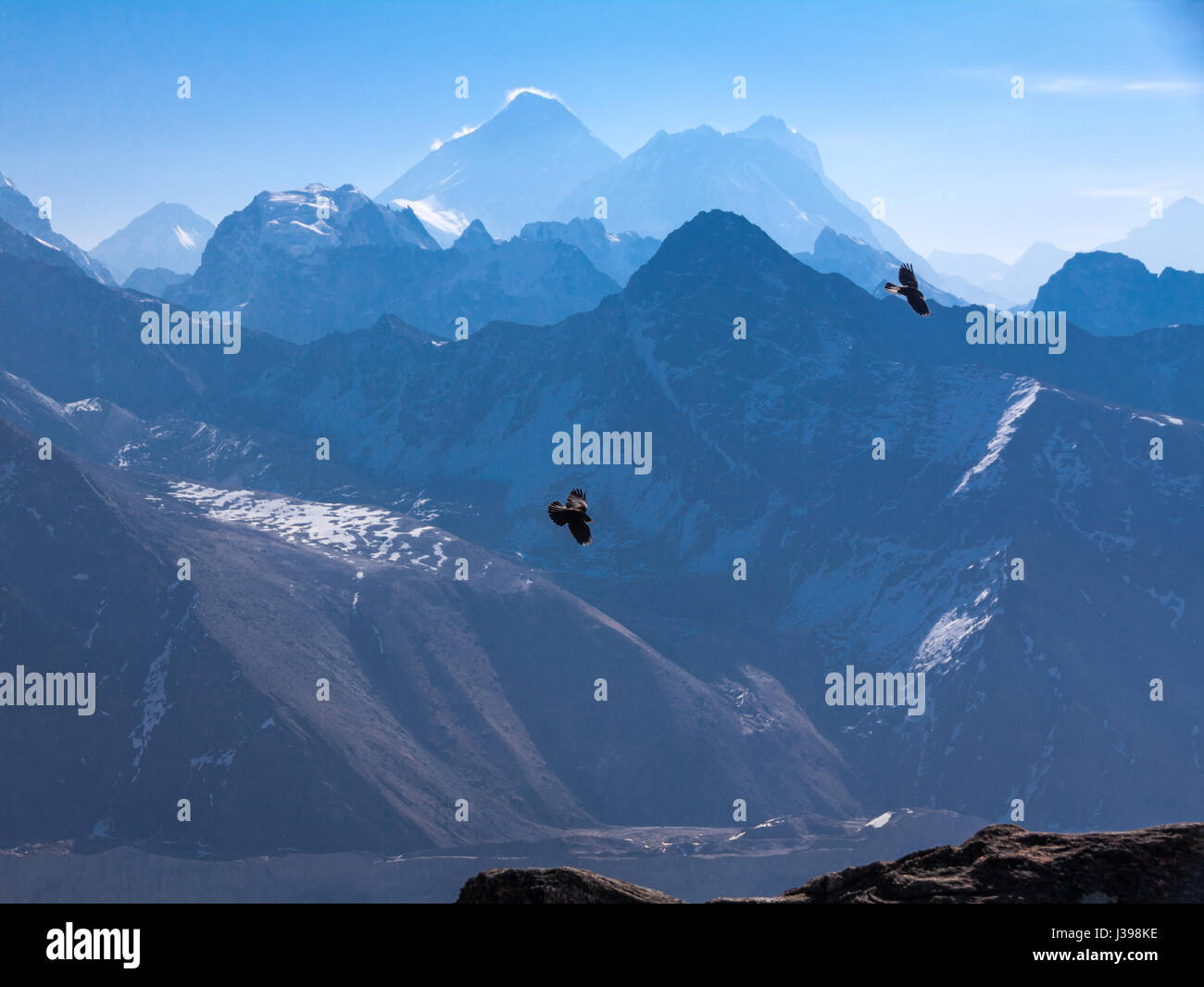Due corvi godere dei sistemi di raffreddamento vicino a Gokyo Ri con Everest retro-illuminato all'orizzonte Foto Stock