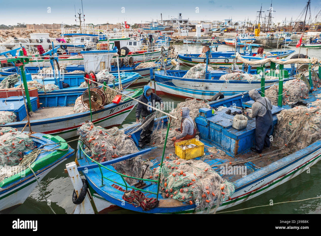 Houmt Souk, Marina, Tunisia, barche da pesca, isola di Djerba e un gatto Foto Stock
