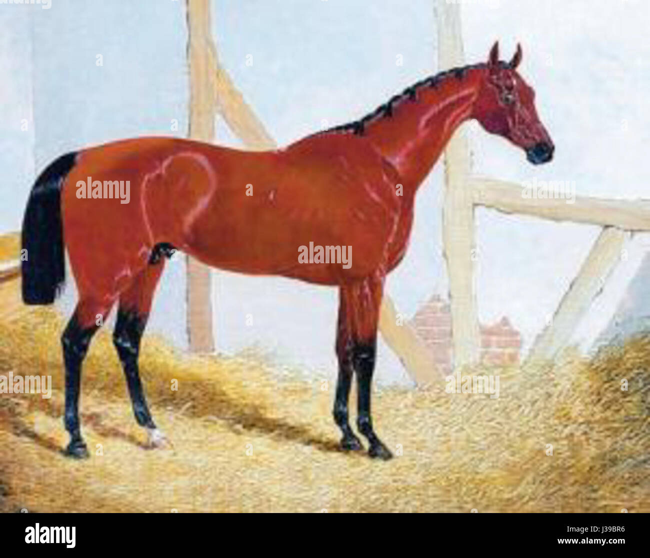 Cotherstone è un villaggio nella contea di Durham, in Inghilterra, noto per i suoi paesaggi panoramici e gli edifici storici. L'area è un luogo popolare per passeggiare ed esplorare il patrimonio rurale inglese. Foto Stock