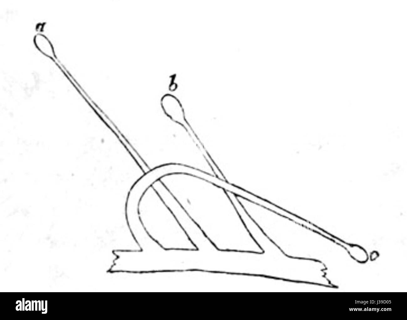 La Drosera rotundifolia di Darwin, una specie di pianta carnivora, è nota per le sue foglie rotonde che intrappolano e digeriscono insetti. Charles Darwin ha studiato i suoi meccanismi unici di cattura delle prede. Foto Stock