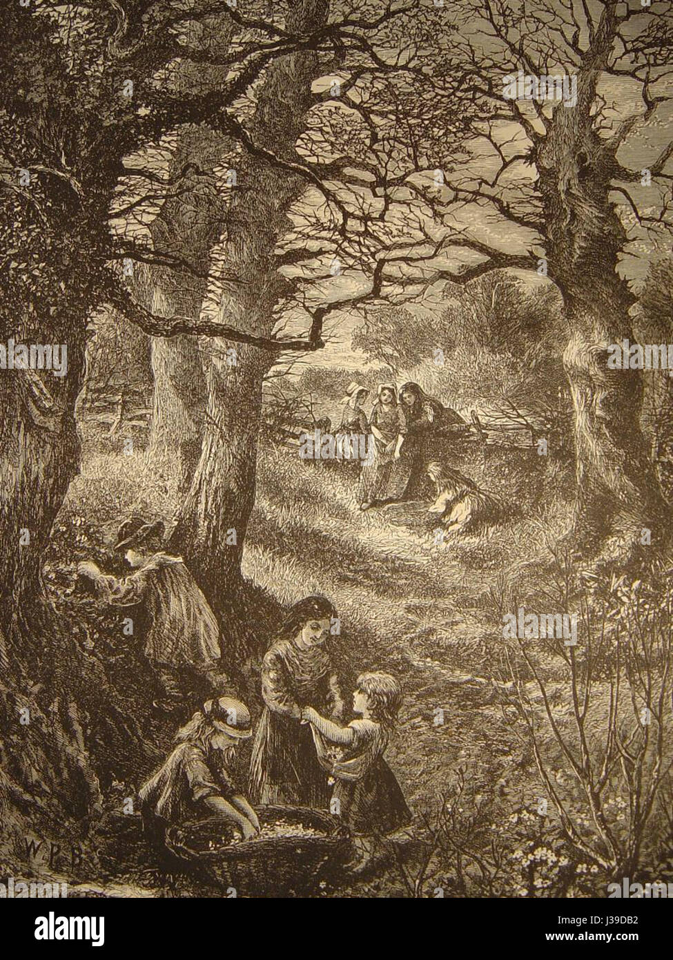 Dans le bois Foto Stock