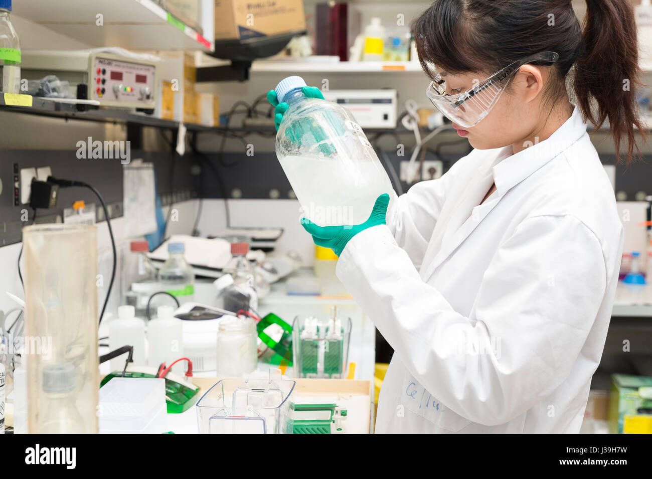 RICERCA SUL CANCRO Foto Stock