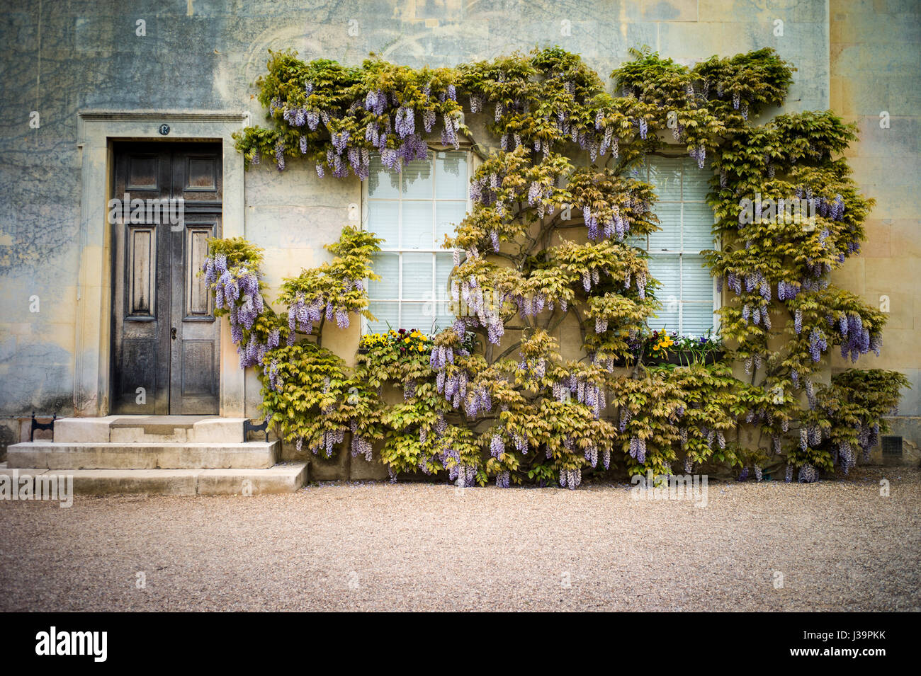 Classic Cambridge - Eleganti alloggi per studenti a Downing College, parte dell'Università di Cambridge nel Regno Unito Foto Stock