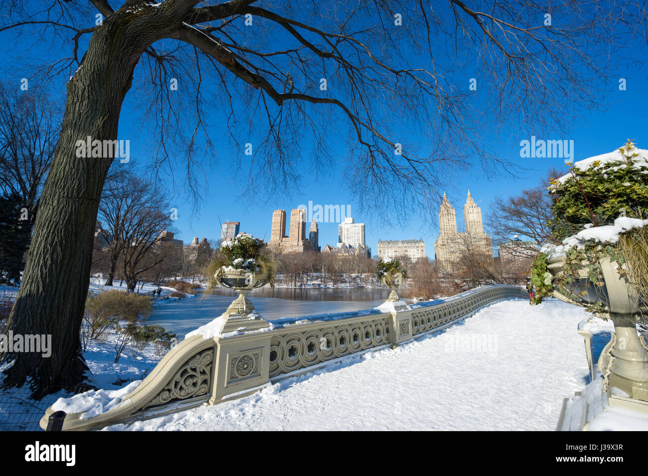 Vista panoramica dal caratteristico ponte di prua di Central Park coperto di neve su un luminoso inverno mattina dopo una tempesta nella città di New York Foto Stock