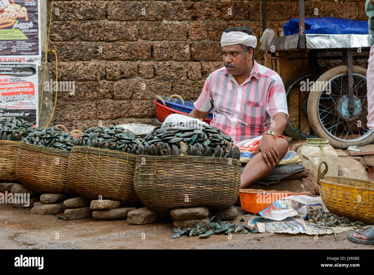 Ogni giorno il mercato del pesce in Thalassery (Tellicherry), Kannur district (Cannanore), Kerala, India del Sud, Sud Asia Foto Stock