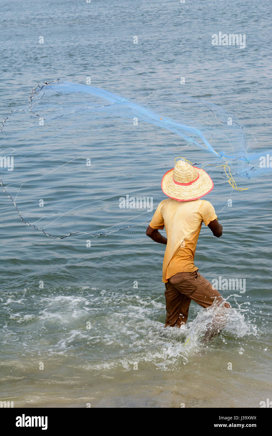 Un pescatore getta la sua rete in mare a Fort Kochi (Cochin), Kerala, India del Sud, Sud Asia Foto Stock