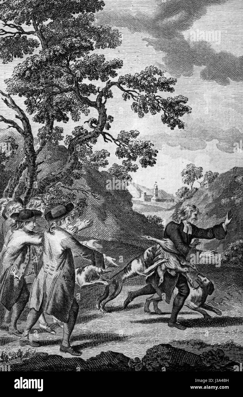 Un ministro protestante di Ungheria con anatre e oche e galline legata intorno al suo corpo e oggetto di atti di caccia a morte dai cani. Incisione da c 1780 Edizione del Foto Stock