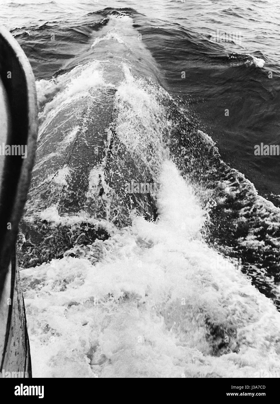 'Il sommergibile ''Hai'' della Bundesmarine' Foto Stock