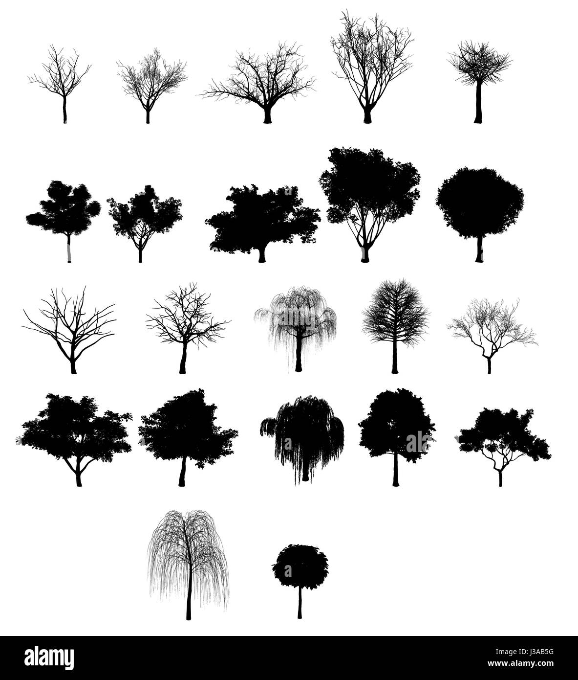 Collezione di alberi neri isolati su sfondo bianco Foto Stock