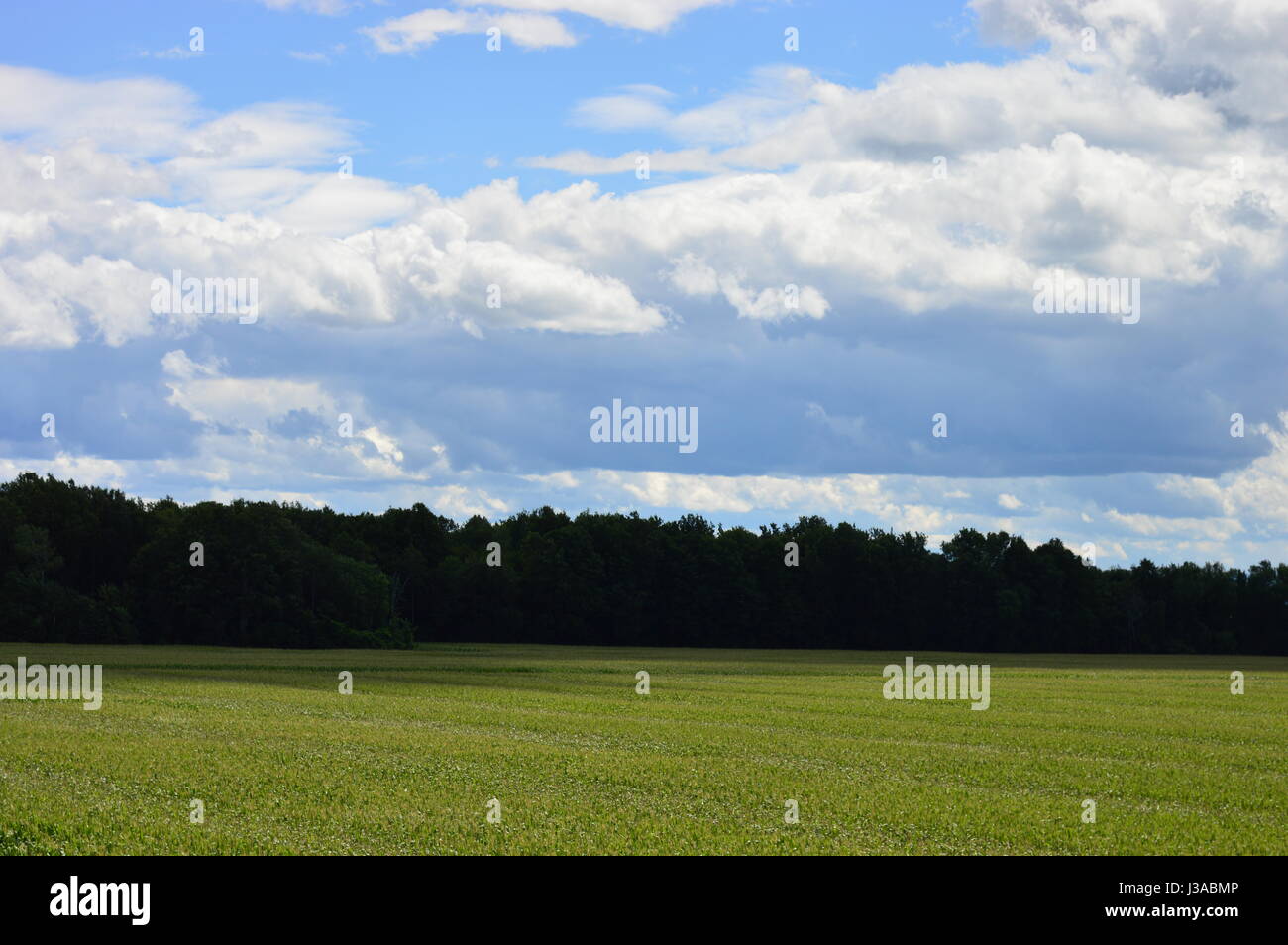 Lato paese Foto Stock