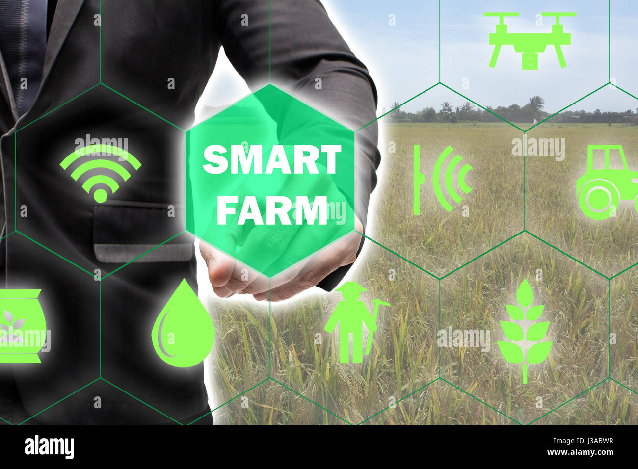 Iot,Internet delle cose(l'agricoltura concetto),smart farming,l'agricoltura industriale.Il Contadino PUNTO mano Per utilizzare la realtà aumentata la tecnologia per il controllo ,mon Foto Stock