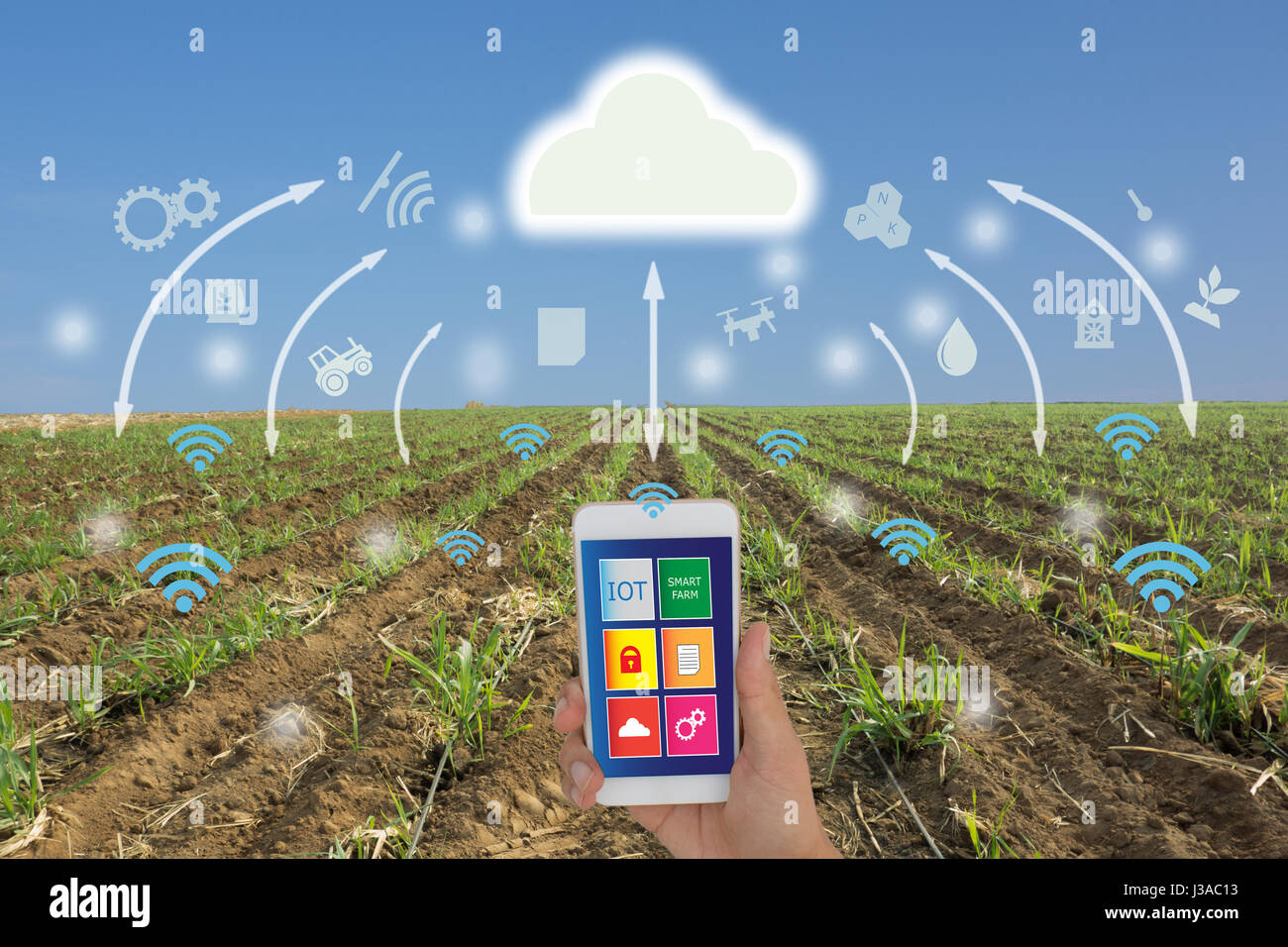 Iot,Internet delle cose(l'agricoltura concetto),smart farming,l'agricoltura industriale.agricoltore utilizzare applicazione nel telefono mobile e la realtà aumentata technolo Foto Stock