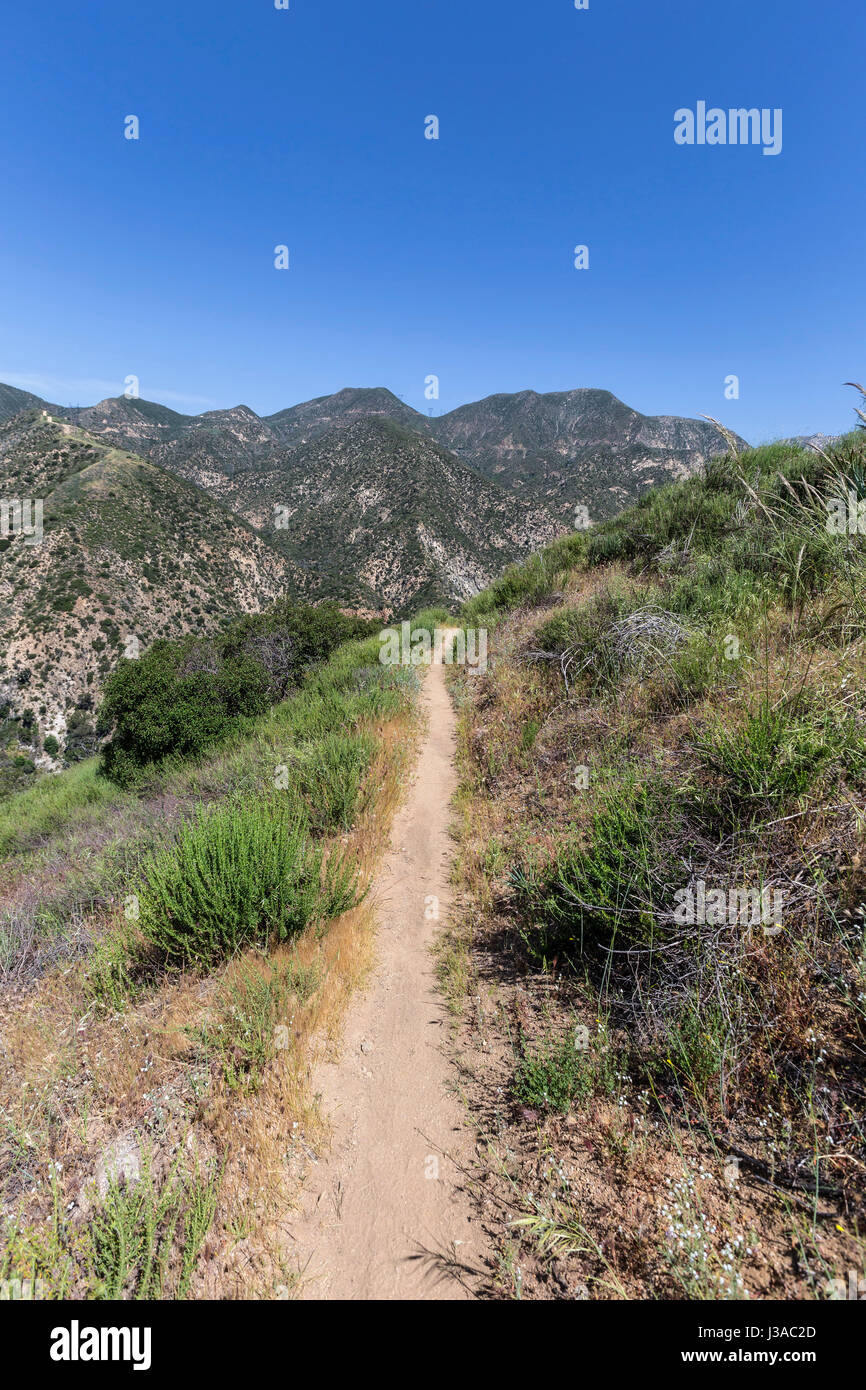 Il sentiero che conduce verso Arroyo Seco e recare Canyon nelle montagne di San Gabriel della Contea di Los Angeles, California. Foto Stock