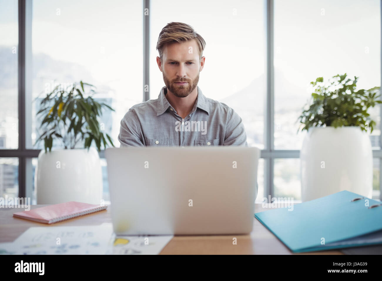 Esecutivo attento utilizzando laptop alla scrivania in ufficio Foto Stock