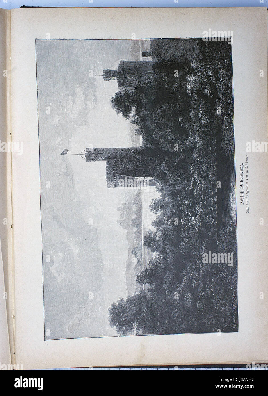 Un numero della rivista Die Gartenlaube del 1886, che mostra la cultura, la storia e il giornalismo periodico tedesco della fine del XIX secolo. Foto Stock