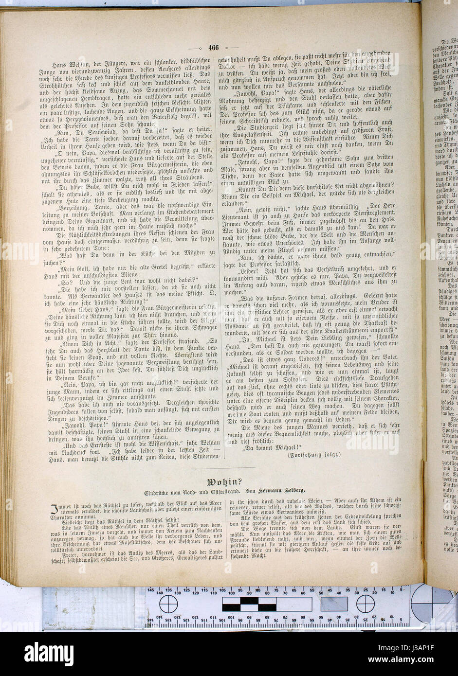 Die Gartenlaube, pubblicato nel 1886, è stato un importante settimanale illustrato tedesco, con una vasta gamma di articoli tra cui storie, argomenti culturali e scoperte scientifiche. Foto Stock