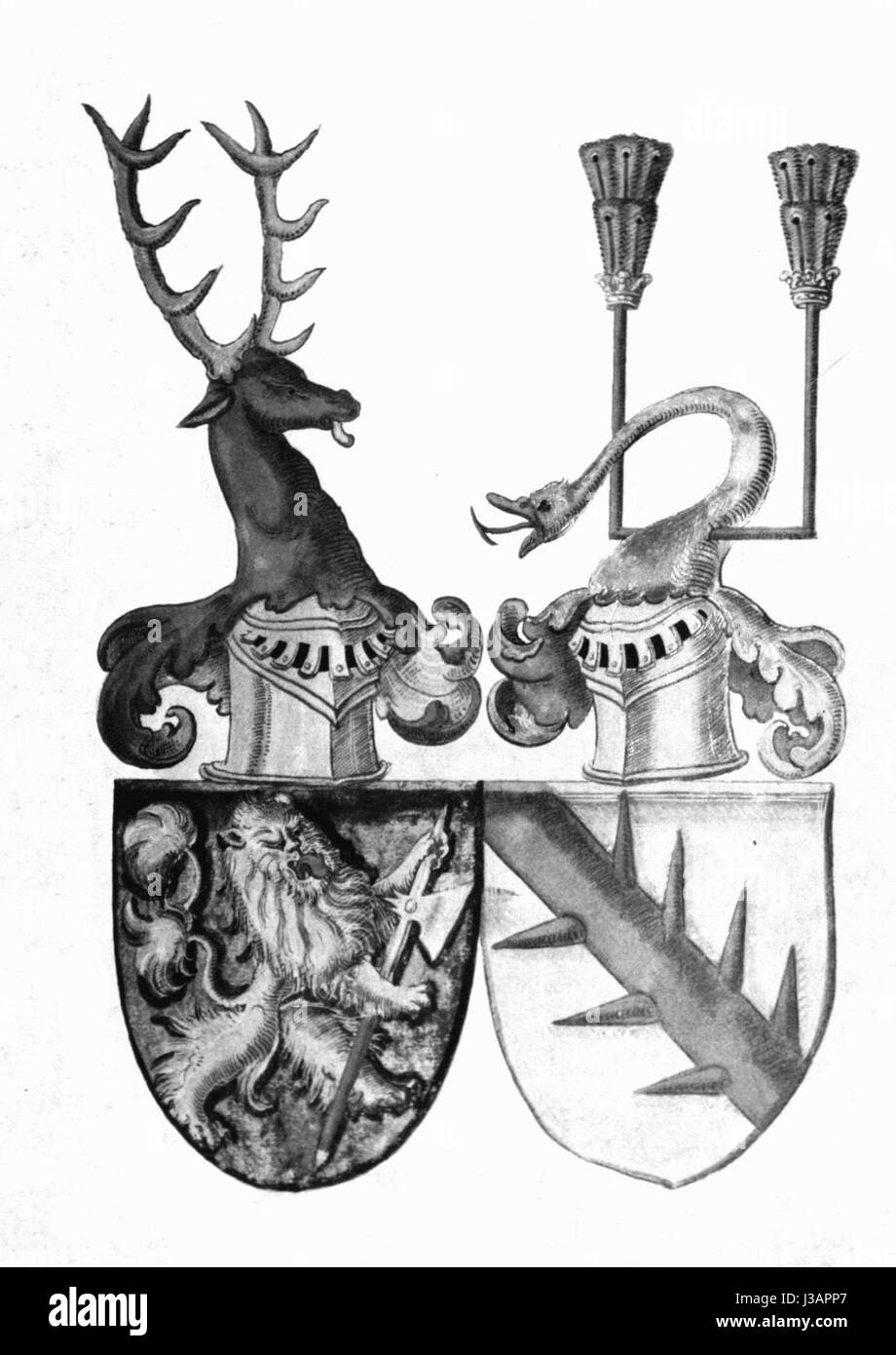 DH3 66Allianz Zimmern Gundelfingen Foto Stock