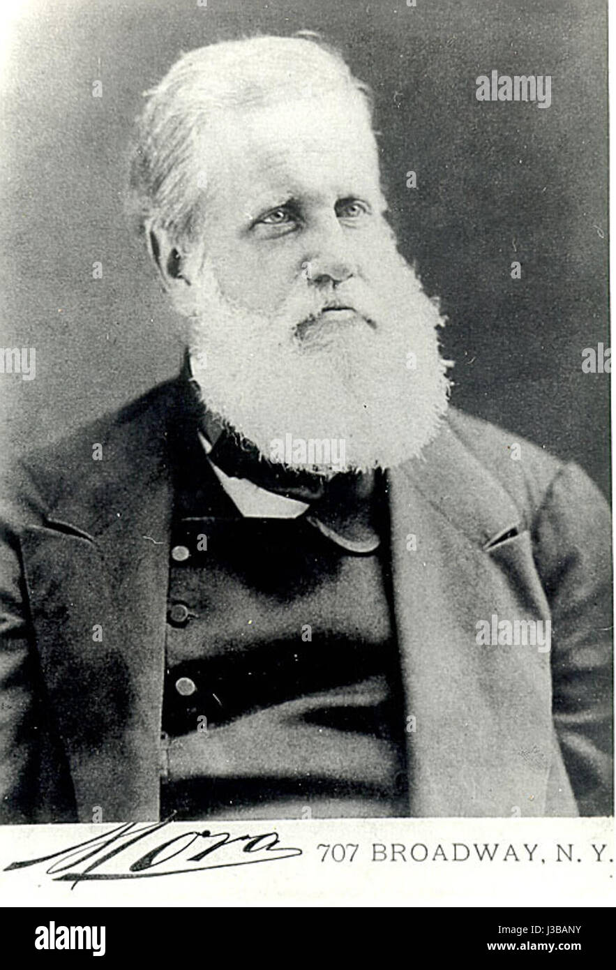 Pietro II fu l'ultimo imperatore del Brasile, dal 1831 al 1889. Il suo regno vide una significativa modernizzazione e sviluppo in Brasile, in particolare in aree come l'istruzione, le infrastrutture e la cultura. Foto Stock