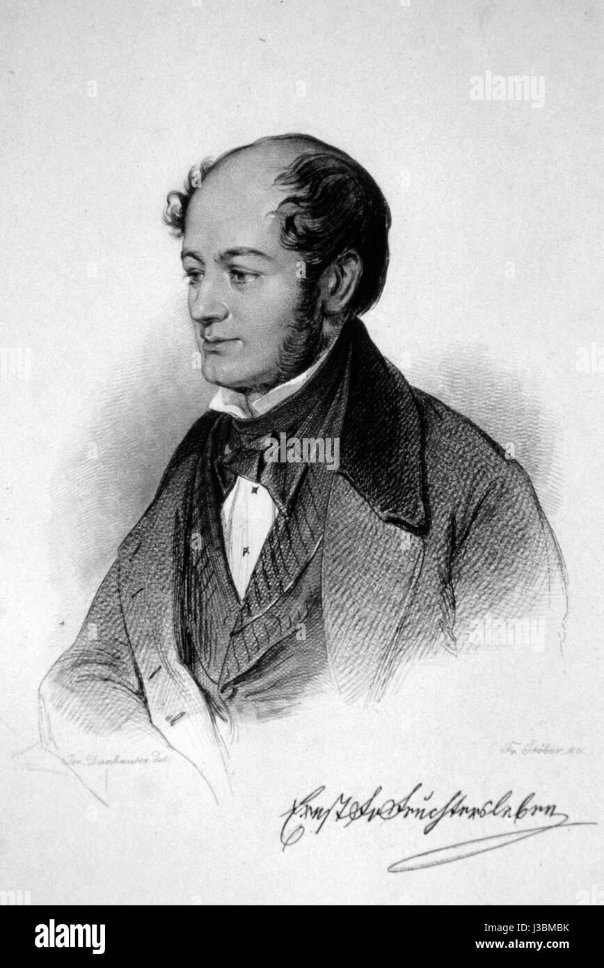 Ernst von Feuchtersleben01 Foto Stock