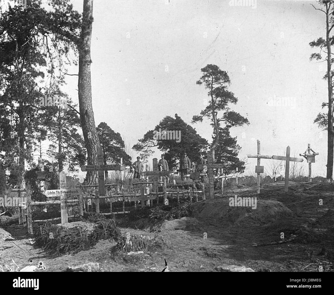 Questo si riferisce alle tombe dei soldati della prima guerra mondiale, situate sul fronte orientale. Queste tombe commemorano i soldati che combatterono e morirono nelle battaglie tra le potenze centrali e le forze alleate nell'Europa orientale. Foto Stock
