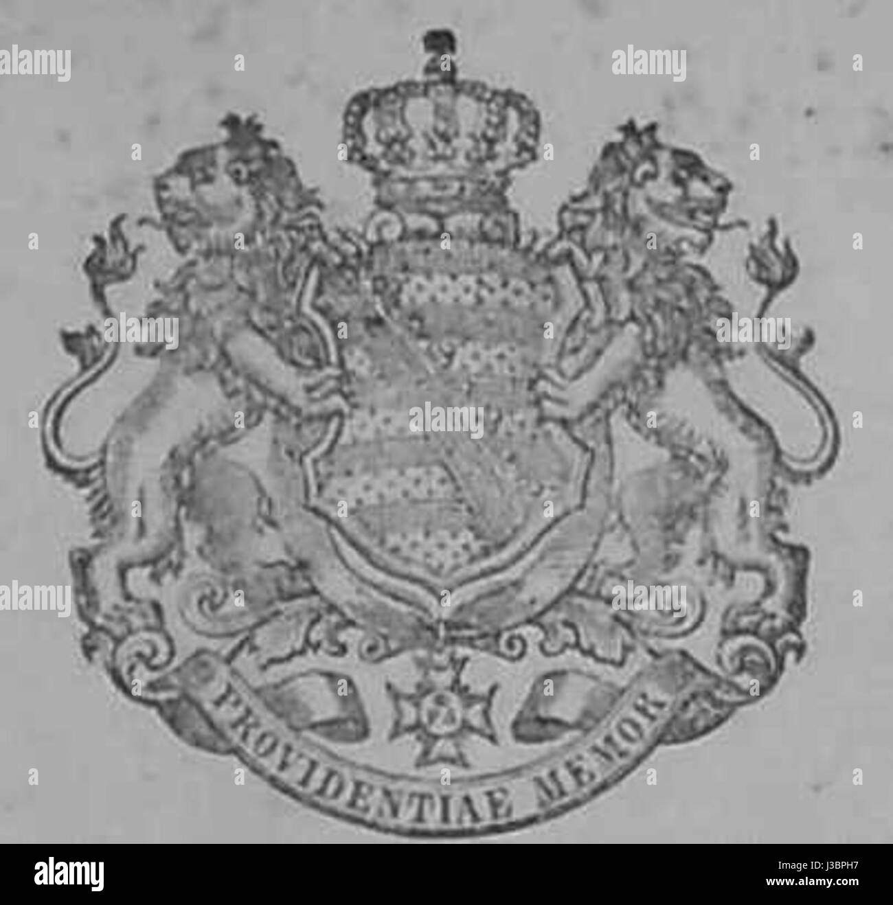 Dresdner ufficiale 1906 001 Wappen Foto Stock