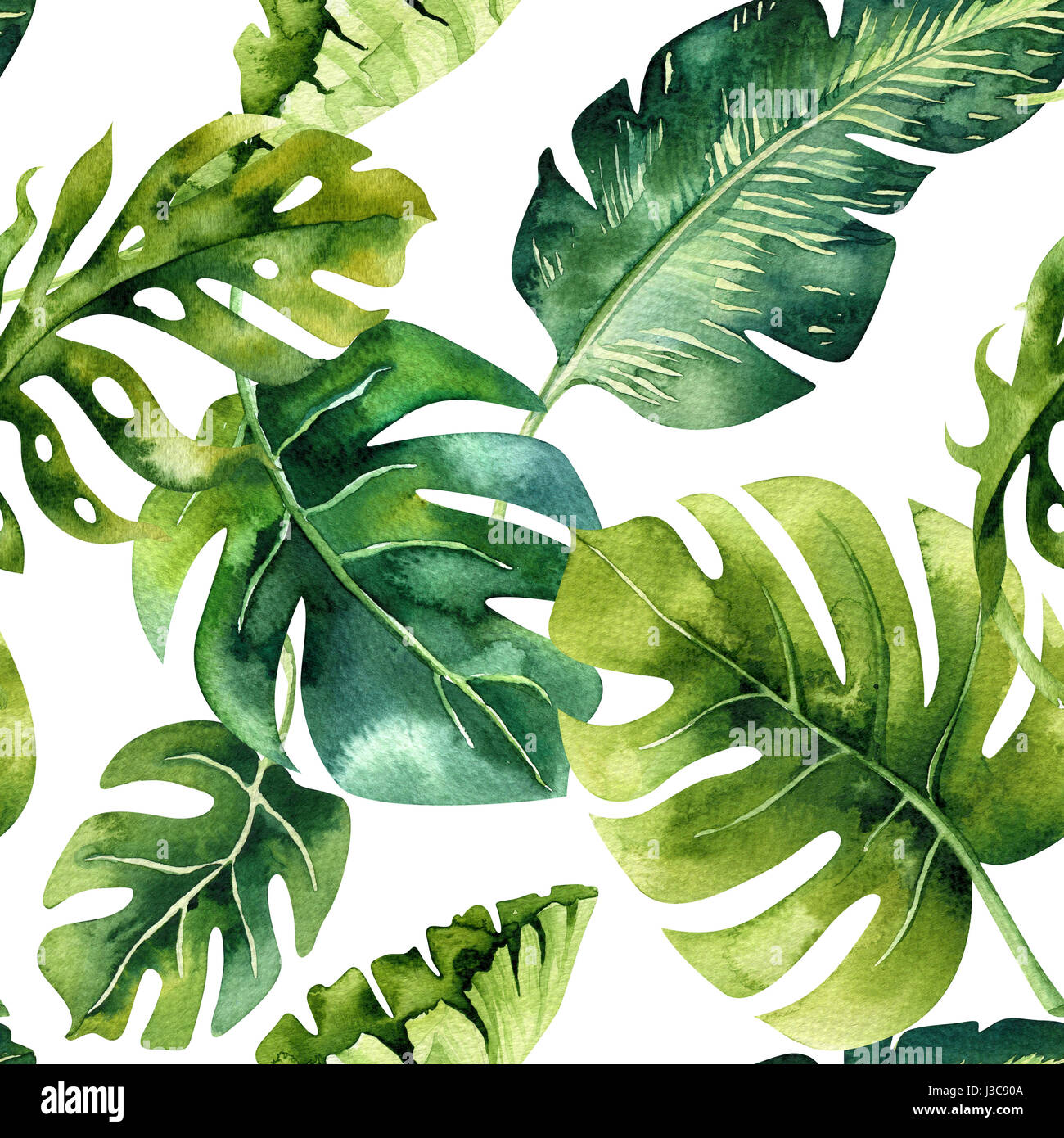 Seamless disegno ad acquerello di foglie tropicali, fitta giungla. Ha Foto Stock