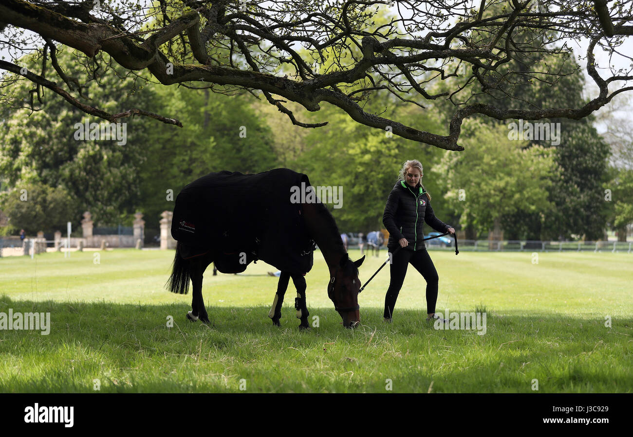 Un cavallo è pascolato al di fuori della casa di Badminton durante il giorno due del 2017 Badminton Horse Trials. Foto Stock