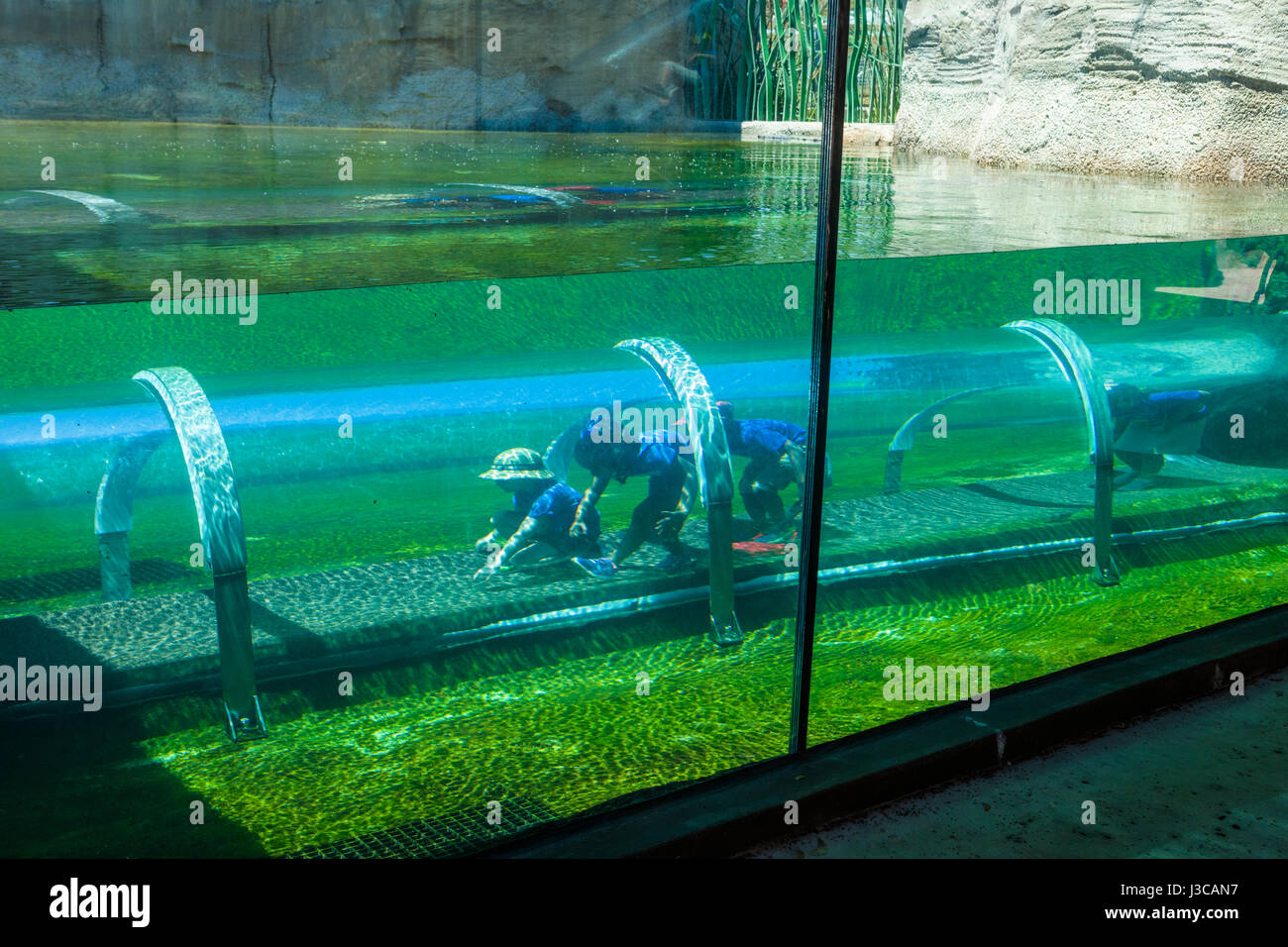 Kids in Crawl-attraverso "tunnel" al Crocodile habitat nella missione Eveerglades sezione dello Zoo di Miami anche noto come Miami-Dade Zoological Park un Foto Stock