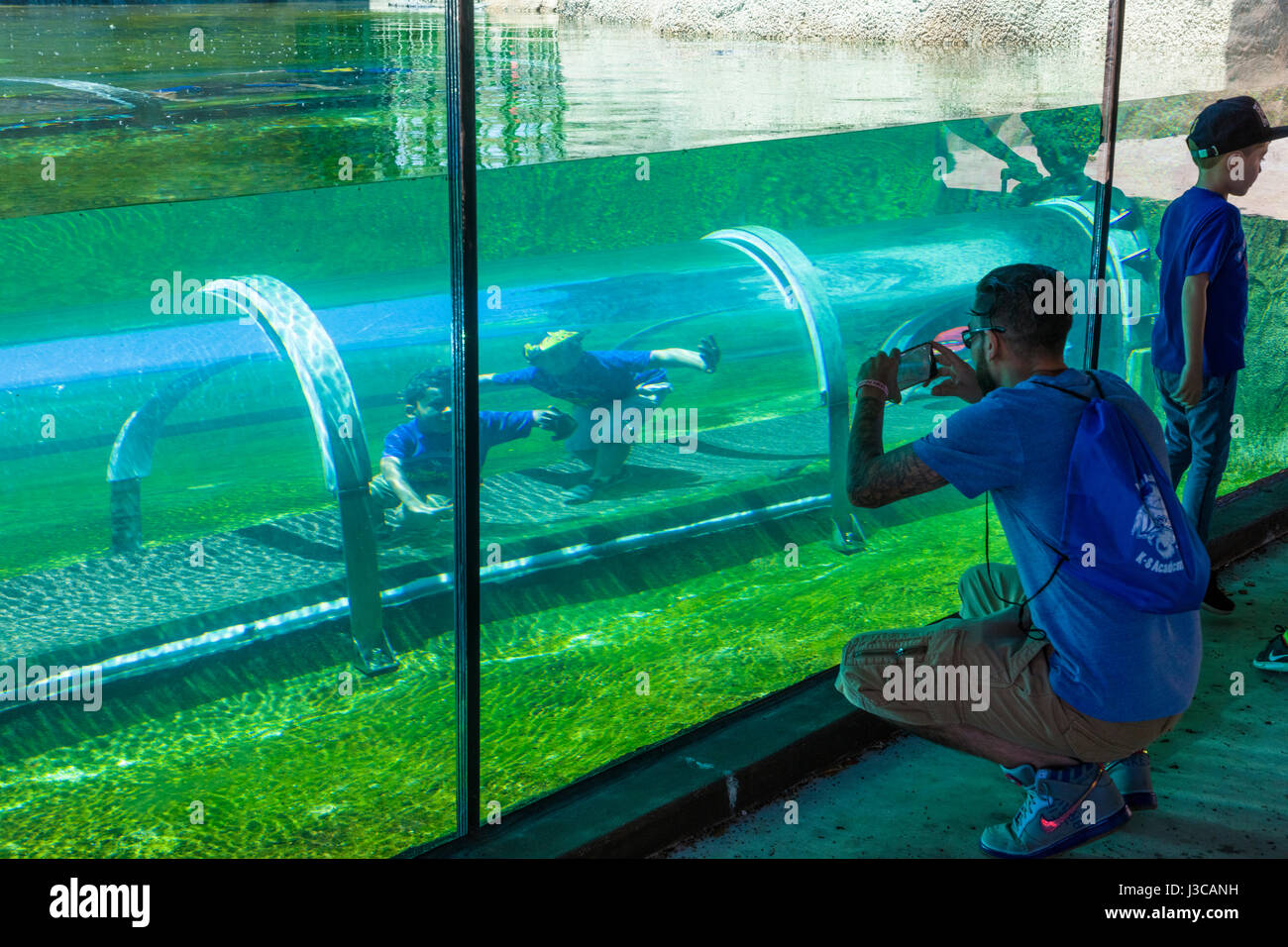 Kids in Crawl-attraverso "tunnel" al Crocodile habitat nella missione Eveerglades sezione dello Zoo di Miami anche noto come Miami-Dade Zoological Park un Foto Stock