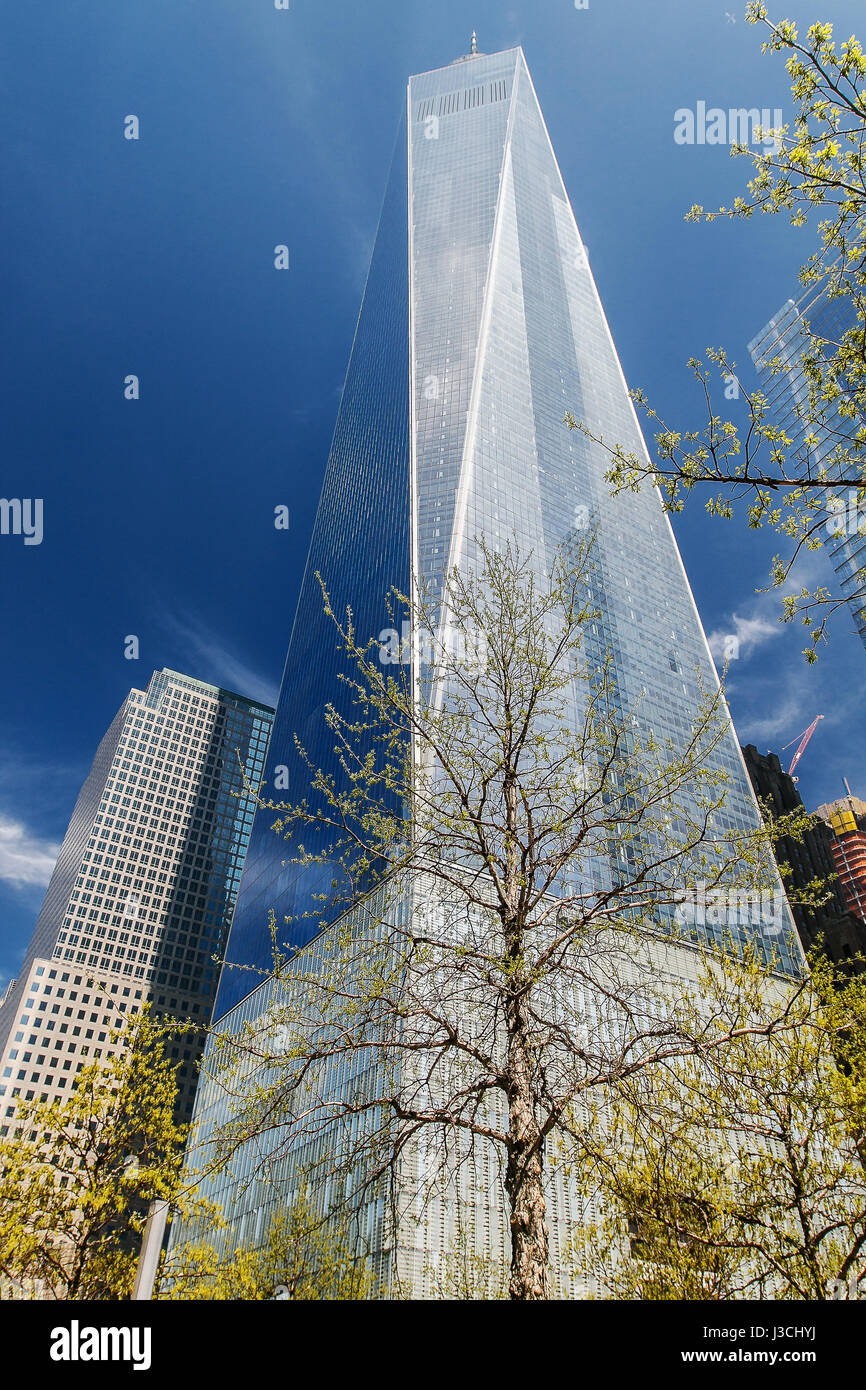Vista di One World Trade Center altrimenti noto come Torre di libertà. Foto Stock