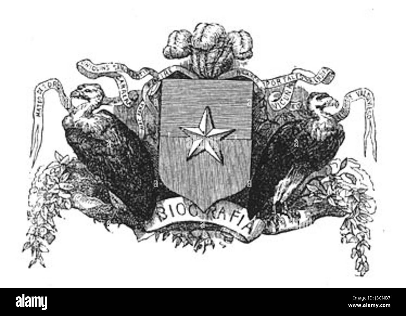 L'Escudo de Chile, o lo stemma cileno, progettato da Narciso Desmadryl, presenta importanti simboli del patrimonio dell'countryÂ. Il design include uno scudo sostenuto da due animali nazionali, lo huemul e il condor, che rappresentano la forza e l'orgoglio nazionale. Lo scudo contiene anche i colori della bandiera nazionale, che evidenziano l'indipendenza e la sovranità del Cile. Foto Stock