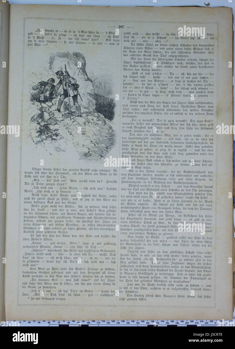 "Die Gartenlaube" del 1884 è un settimanale tedesco noto per i suoi articoli sulla cultura, la scienza e gli eventi attuali. Questa edizione del 1875 si concentra su vari argomenti sociali, fornendo una finestra sulla vita tedesca del XIX secolo. Foto Stock